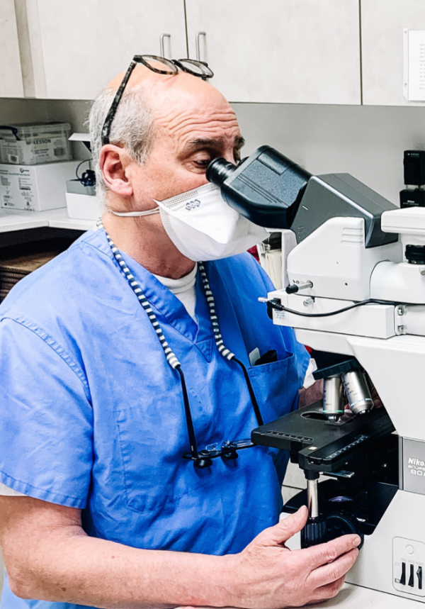 Mohs Surgery & Skin Cancer Treatment GA Skin Cancer Experts